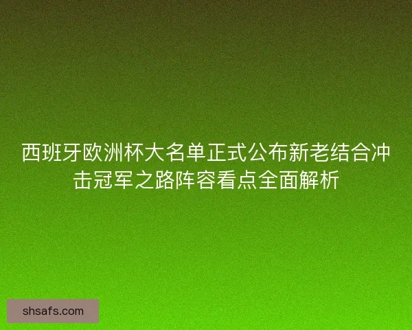 西班牙欧洲杯大名单正式公布新老结合冲击冠军之路阵容看点全面解析