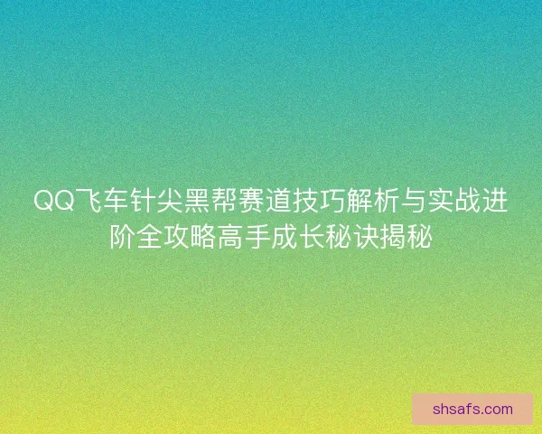 QQ飞车针尖黑帮赛道技巧解析与实战进阶全攻略高手成长秘诀揭秘