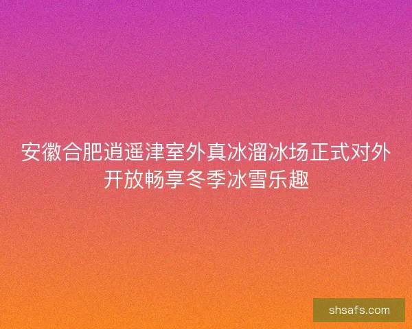 安徽合肥逍遥津室外真冰溜冰场正式对外开放畅享冬季冰雪乐趣