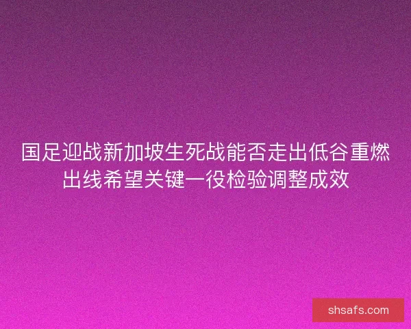 国足迎战新加坡生死战能否走出低谷重燃出线希望关键一役检验调整成效